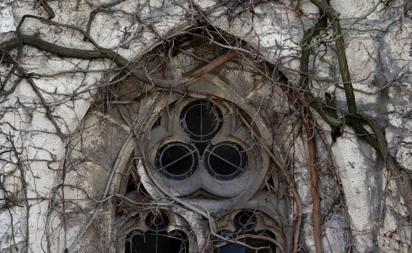 Detalj Ett Slitet Eroderat Igenvuxet Gotiskt Fönster Med Torra Grenar — Stockfoto