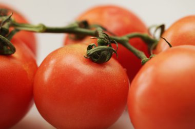 Daldaki domatesler.