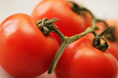 Ripe domates Şubesi