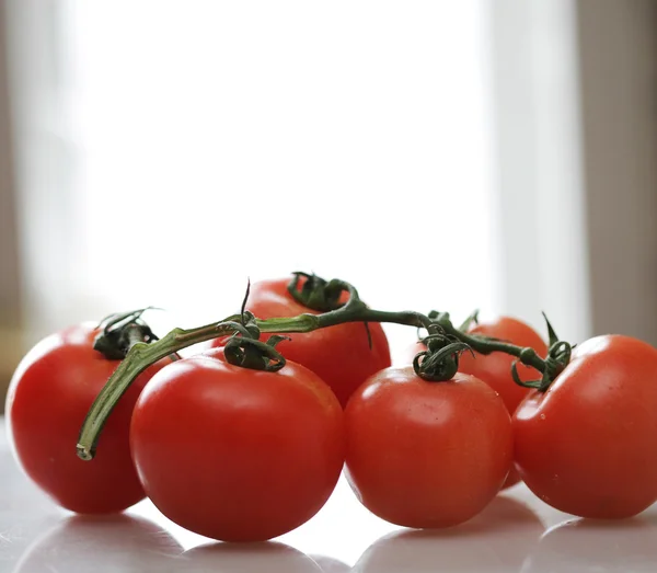 Branche de tomates mûres — Photo