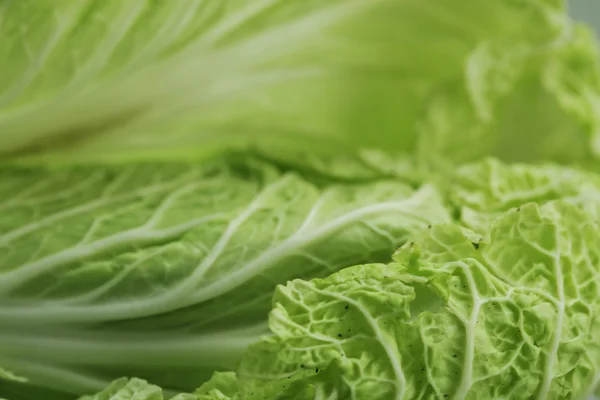 Green leaf of chinese cabbage background. — Stock Photo, Image