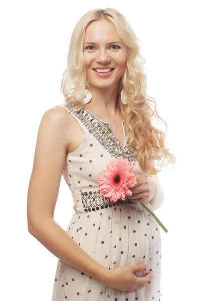 Young pregnant woman with gerber — Stock Photo, Image