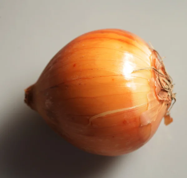 Zwiebel auf grauem Hintergrund. — Stockfoto