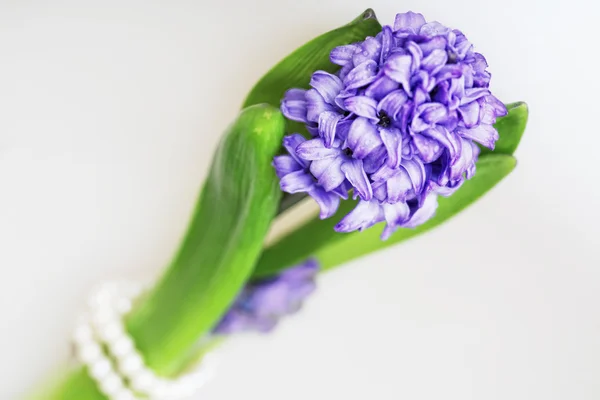 Blommor för bruden. — Stockfoto