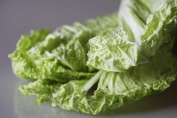 Chinese cabbage — Stock Photo, Image