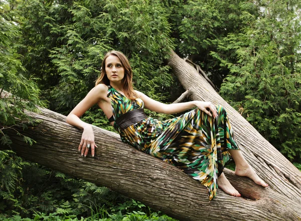 Jeune femme posant sur un arbre — Photo