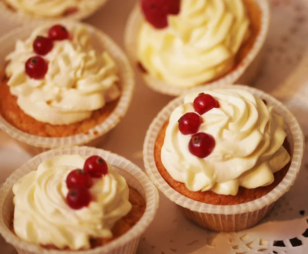 Small cakes — Stock Photo, Image