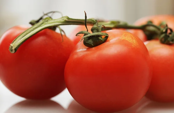 Tomates sur une branche. — Photo