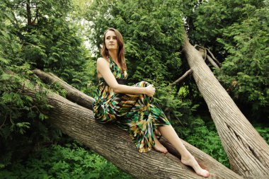 Genç bir kadın ağaçta poz veriyor.