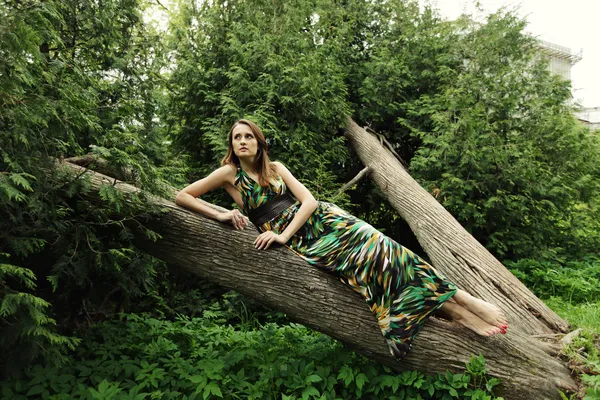 Jeune femme posant sur un arbre — Photo