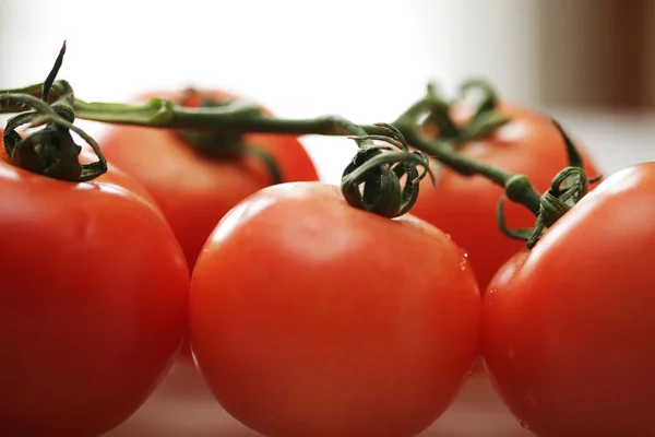 Rama de tomate maduro — Foto de Stock