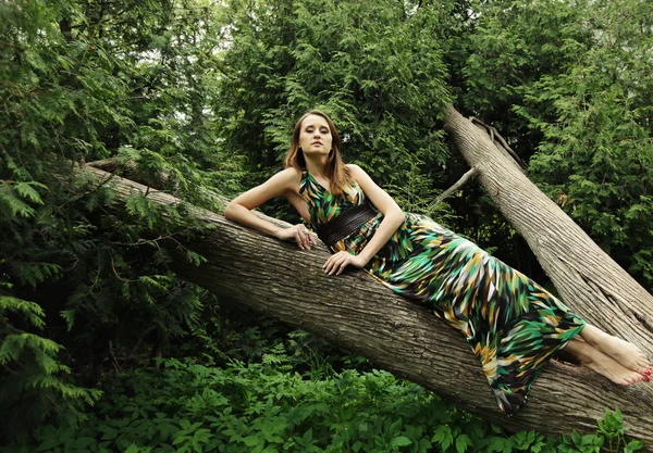 Junge Frau posiert auf einem Baum — Stockfoto