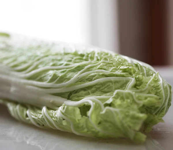 Chinese cabbage — Stock Photo, Image