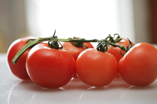 Mogen tomat gren — Stockfoto