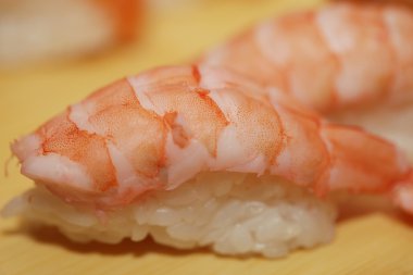 Nigiri Suşi