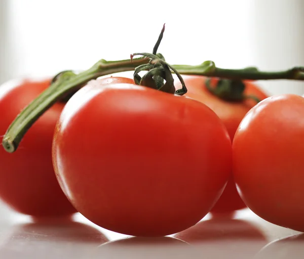 Pomodori su un ramo. — Foto Stock