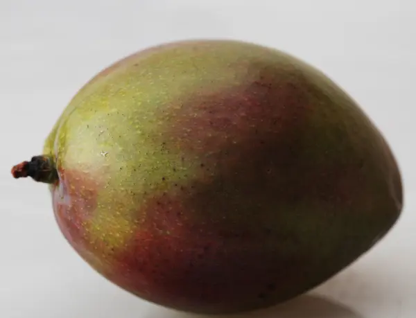 灰色の背景上のマンゴー — ストック写真