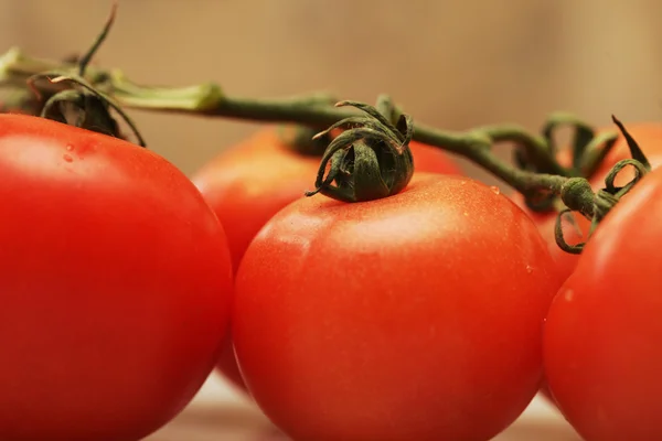 Спелые томаты — стоковое фото