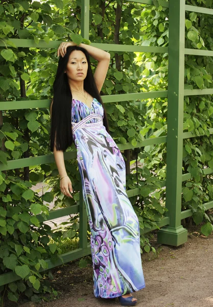 Güzel Asyalı manken — Stok fotoğraf