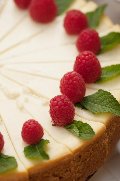 Sour cream cheesecake with raspberries. — Stock Photo, Image