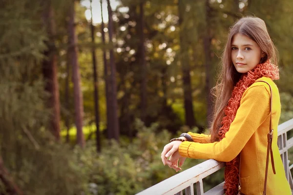 Moda donna sul ponte nel parco autunnale — Foto Stock