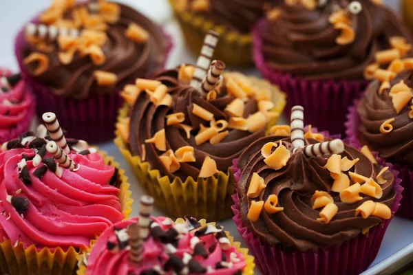 Cupcakes — Fotografia de Stock