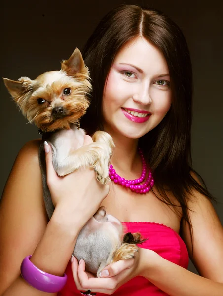 Süßes junges Mädchen mit ihrem yorkie welpen — Stockfoto