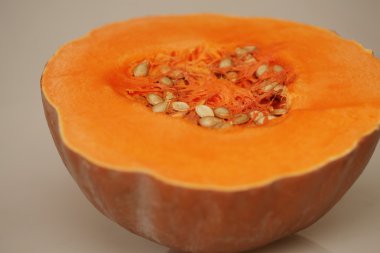 balkabağı