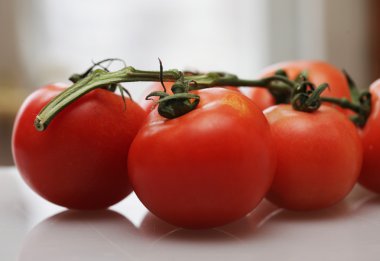 Daldaki domatesler.