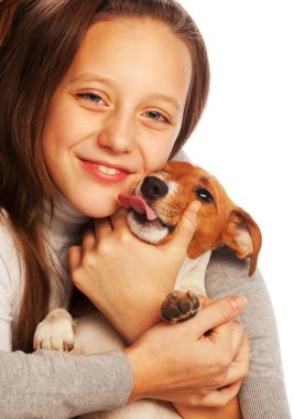 kızla jack russell terrier