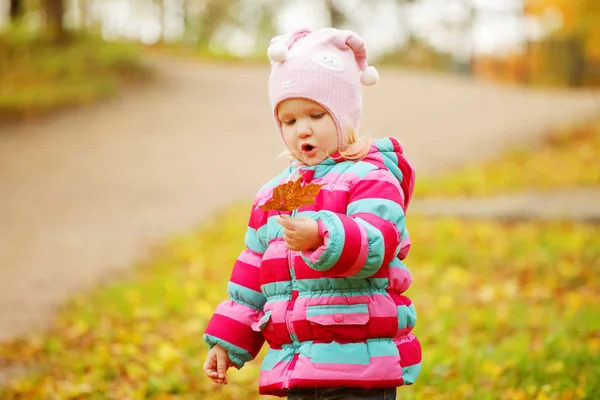 Niño feliz en el parque de otoño — Foto de Stock