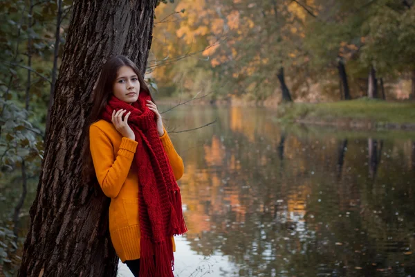 Young smiling woman in autumn park — Stock Photo, Image