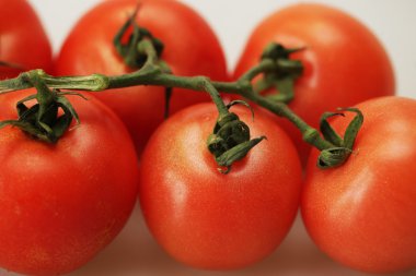 Daldaki domatesler.