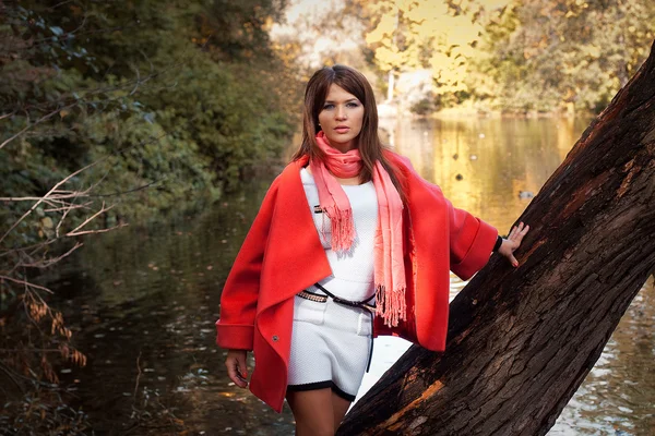 Mulher sorridente no parque de outono — Fotografia de Stock