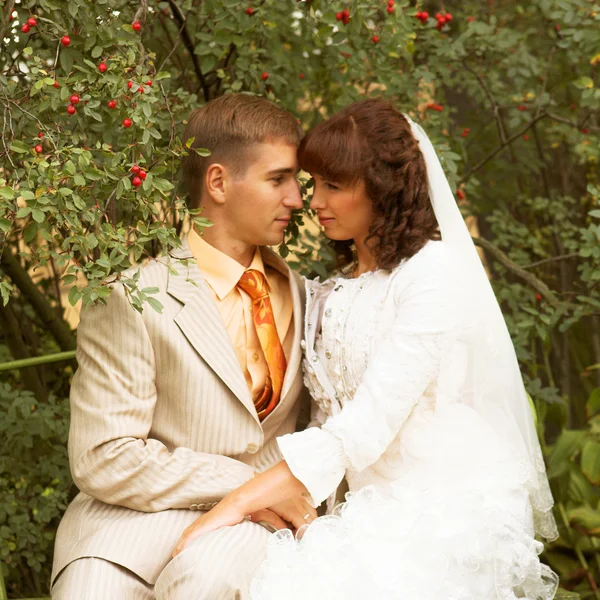 The walk of newlyweds — Stock Photo, Image