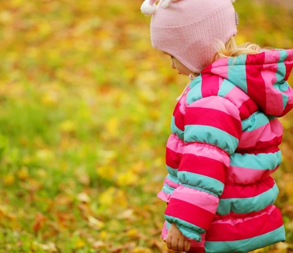 Niño feliz en el parque de otoño — Foto de Stock