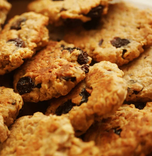 Chocolate chips cookies, close up — Stock Photo, Image