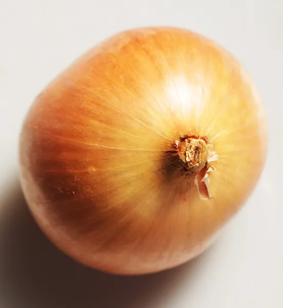 Zwiebeln — Stockfoto