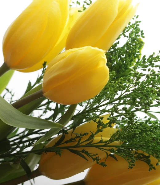 Gelbe Tulpen — Stockfoto