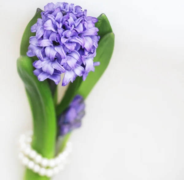 Blommor för bruden. — Stockfoto