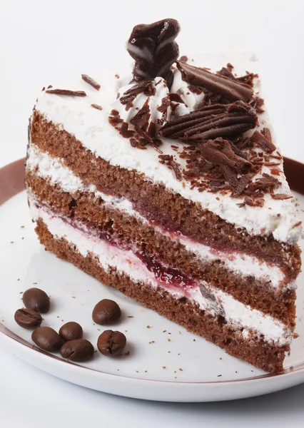 Κέικ σοκολάτας κοντά επάνω βλαστό — Φωτογραφία Αρχείου