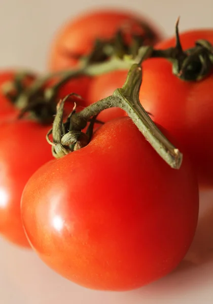 Rama de tomate maduro —  Fotos de Stock