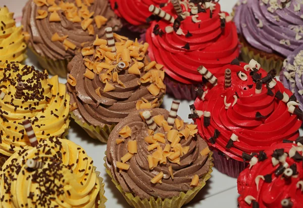 Cupcakes im Sortiment. — Stockfoto