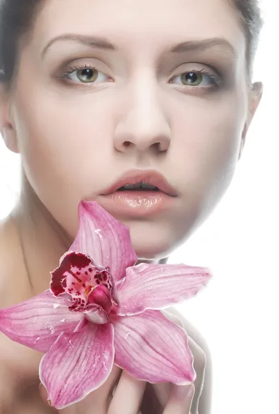Beautiful woman with pink flower Royalty Free Stock Images