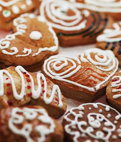 Varoius Homemade Gingerbread Cookies — Stock Photo, Image