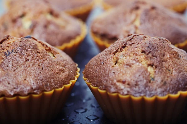 Muffins — Stockfoto