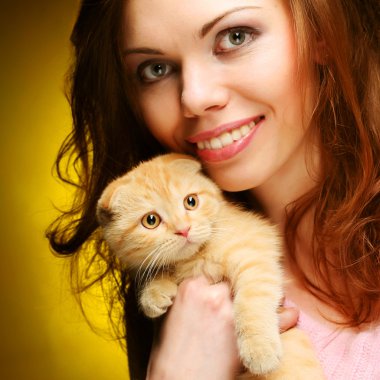 Bayan kırmızı İngiltere lop-eared yavru kedi