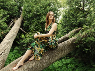 Genç bir kadın ağaçta poz veriyor.