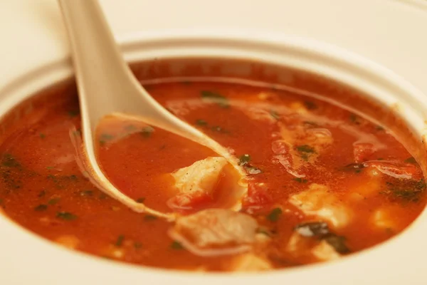 Zupa z mięsem i warzywami — Zdjęcie stockowe