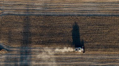 Soya alanı birleştirmek ile geç yaz aylarında hasat.